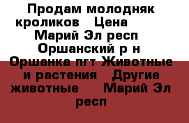 Продам молодняк кроликов › Цена ­ 300 - Марий Эл респ., Оршанский р-н, Оршанка пгт Животные и растения » Другие животные   . Марий Эл респ.
